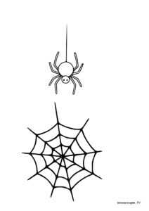 Coloriage d'une araignée qui descend sur sa toile.