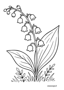 Coloriage d'un brun de muguet pour le 1er mai.